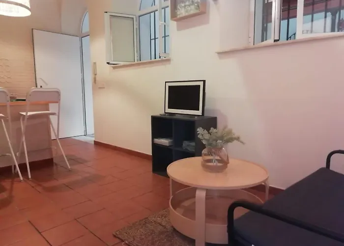 Vicario 11 Estudio