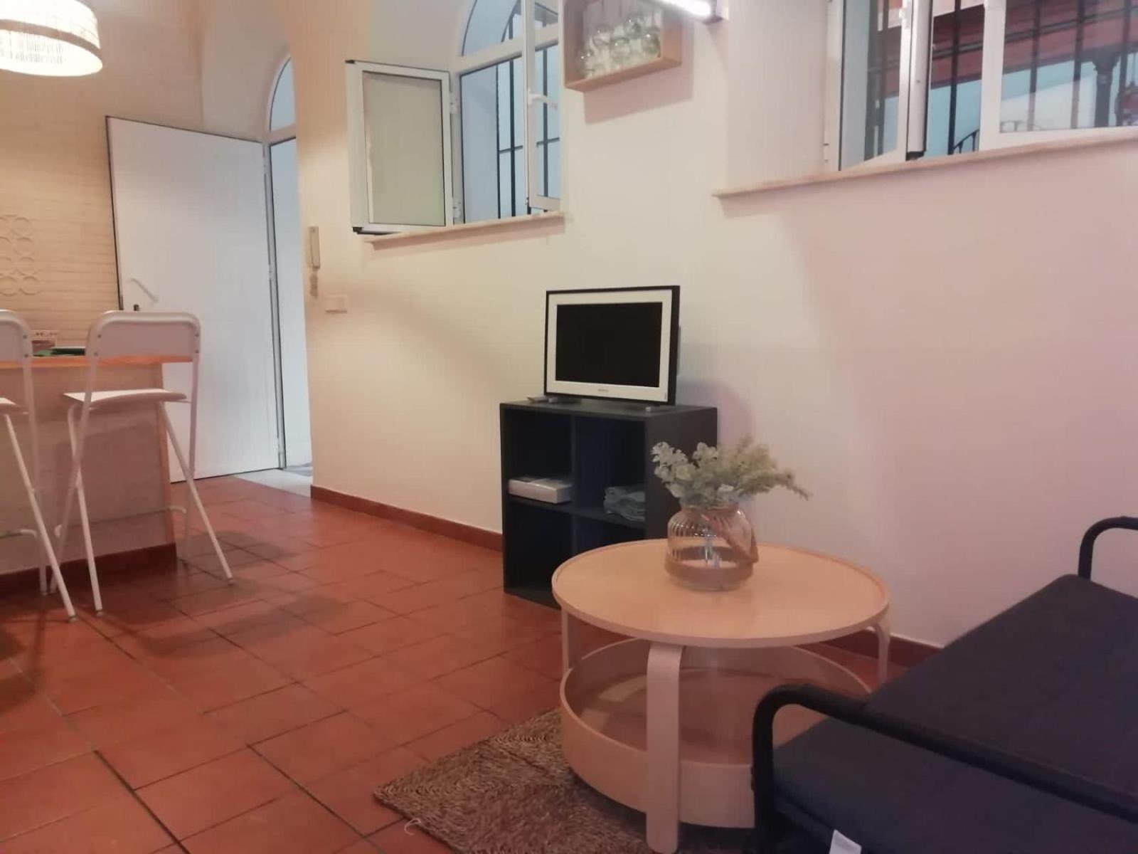 Apartment Vicario 11 Estudio