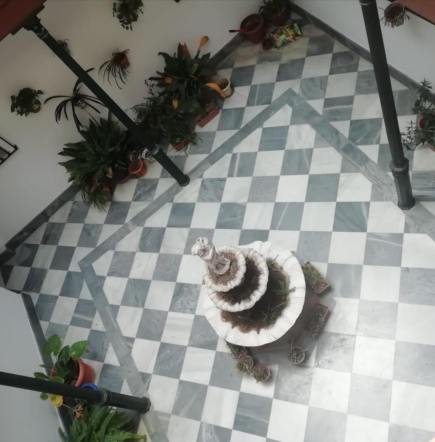 Vicario 11 Estudio